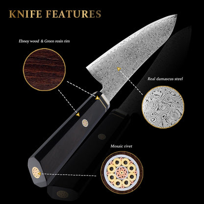 Hikari 5-Piece Damascus Steel Knife Set