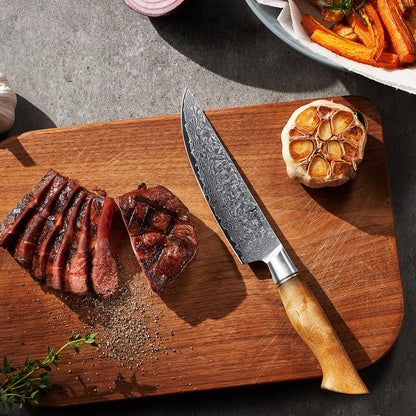 Takara 6-Piece Damascus Steel Steak Knife Set