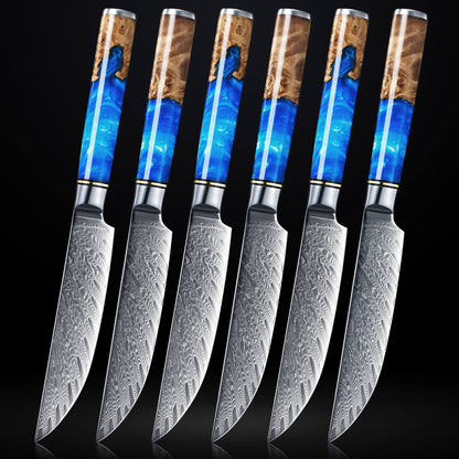 Aokami 4-Piece Damascus Steel Steak Knife Set
