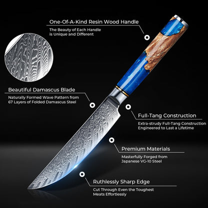 Aokami 4-Piece Damascus Steel Steak Knife Set