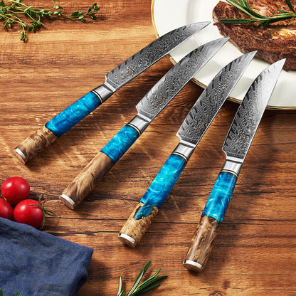 Aokami 4-Piece Damascus Steel Steak Knife Set